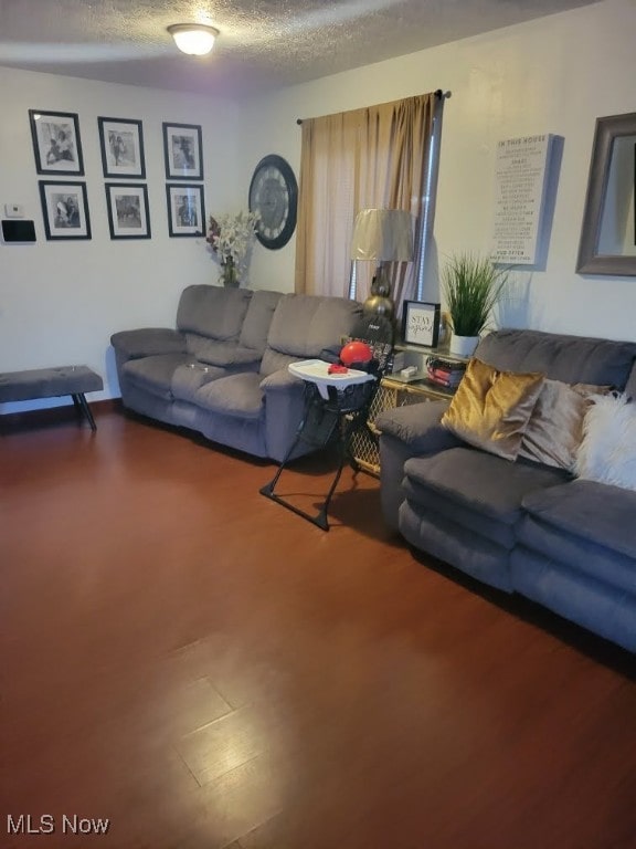 living room featuring hardwood / wood-style floors and a textured ceiling