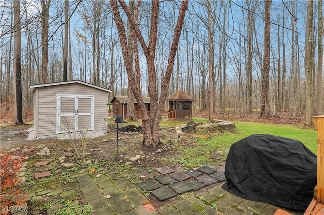 view of yard featuring a storage shed