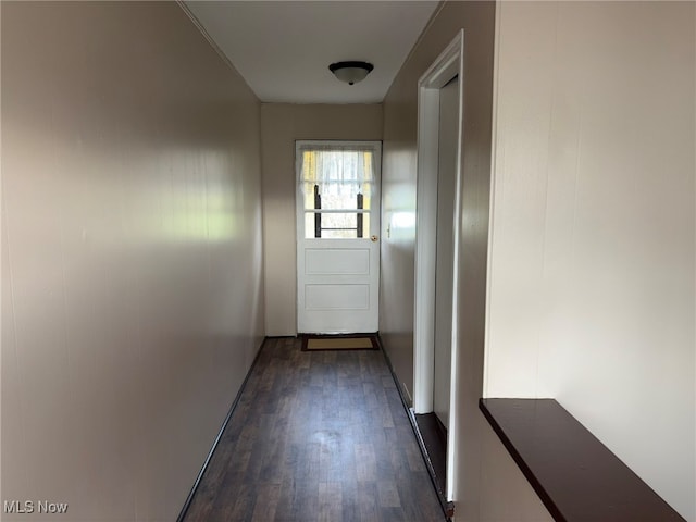 entryway with dark wood-type flooring