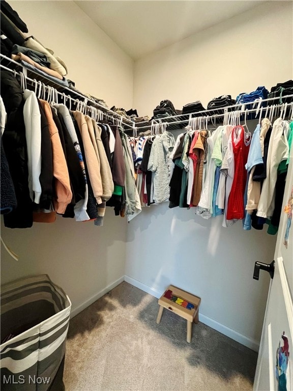 spacious closet with carpet flooring