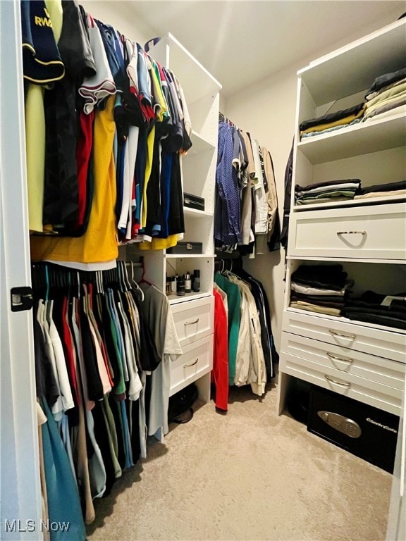 walk in closet with light colored carpet