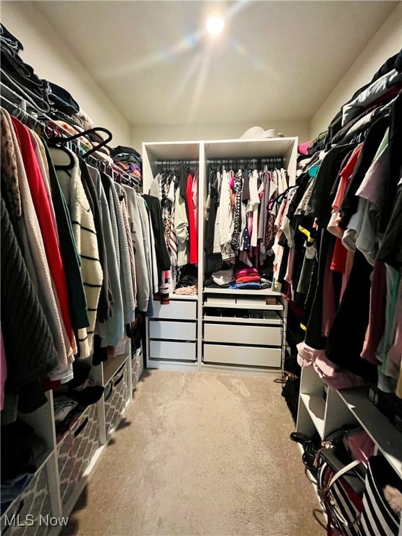 spacious closet featuring carpet floors