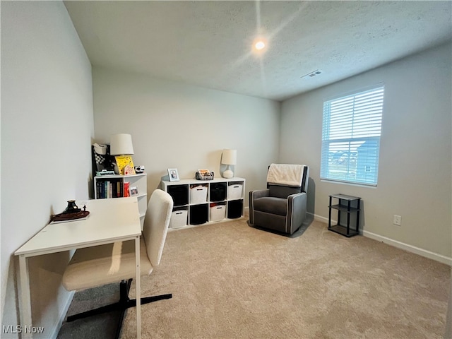 home office with light carpet