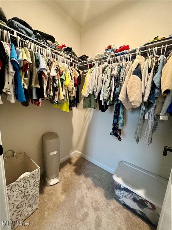 spacious closet featuring carpet flooring