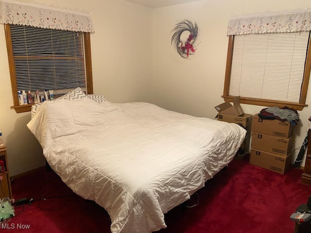 bedroom featuring carpet