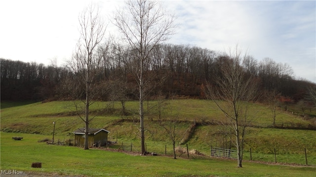 view of yard featuring a rural view