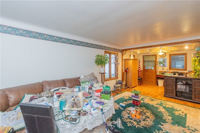 living room with light hardwood / wood-style flooring and ceiling fan