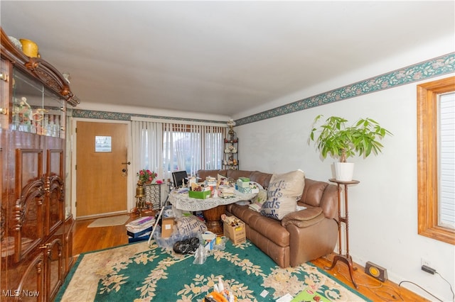 living room with hardwood / wood-style flooring