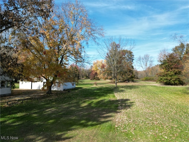 view of yard