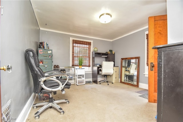 carpeted office featuring crown molding