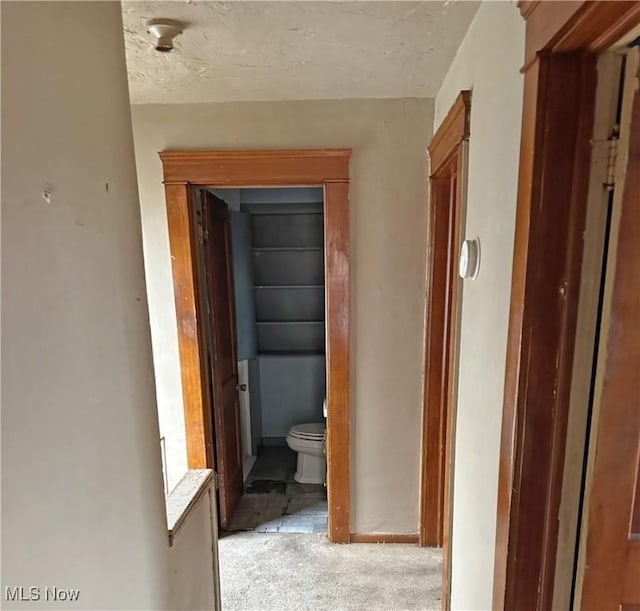 hallway featuring light colored carpet