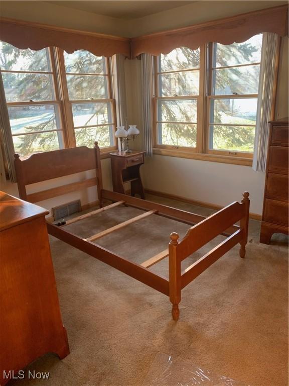 carpeted bedroom with multiple windows