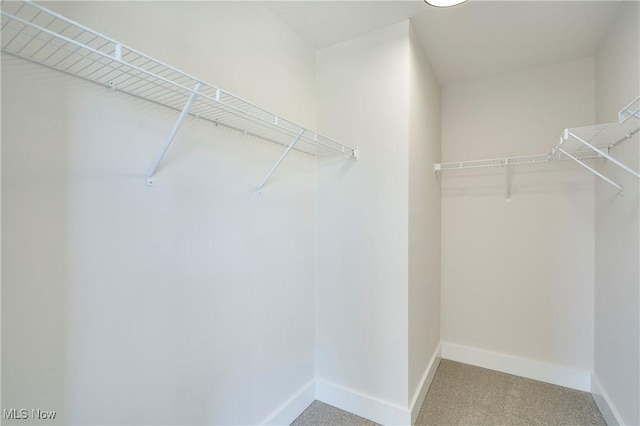 walk in closet featuring carpet floors