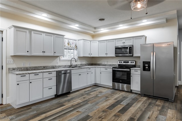 kitchen with white cabinetry, sink, ceiling fan, dark hardwood / wood-style floors, and appliances with stainless steel finishes