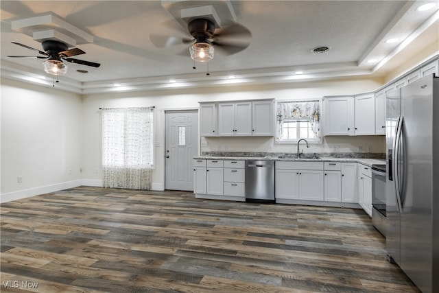 kitchen featuring ceiling fan, dark hardwood / wood-style flooring, a tray ceiling, white cabinets, and appliances with stainless steel finishes