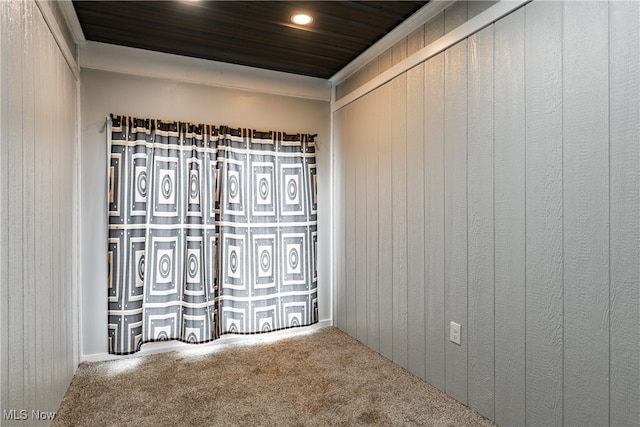 empty room featuring carpet floors and wood walls