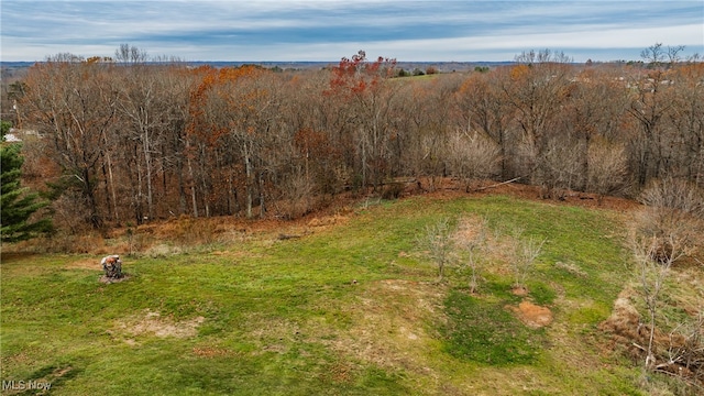 view of yard featuring a rural view