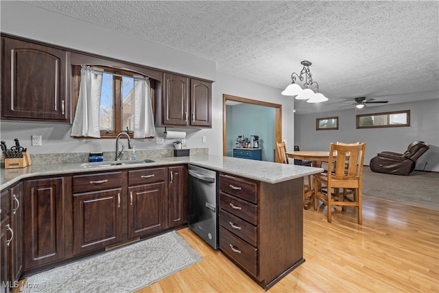 kitchen featuring pendant lighting, light hardwood / wood-style floors, plenty of natural light, and sink