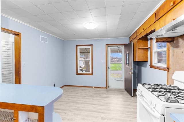 kitchen featuring light hardwood / wood-style floors, a healthy amount of sunlight, white range with gas stovetop, and ornamental molding