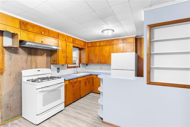 kitchen featuring tasteful backsplash, sink, white appliances, and light wood-type flooring