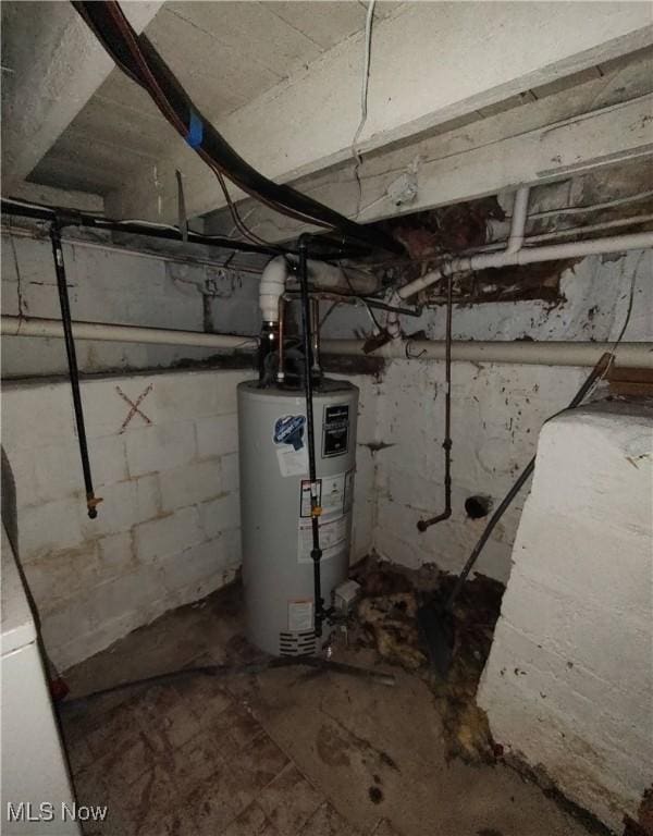 basement with water heater