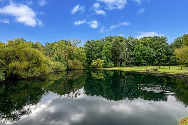 property view of water