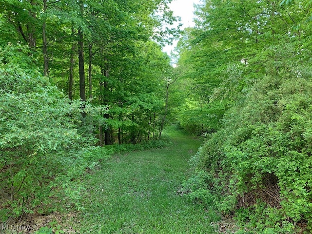 view of landscape