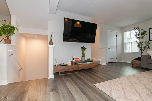 living room with wood-type flooring