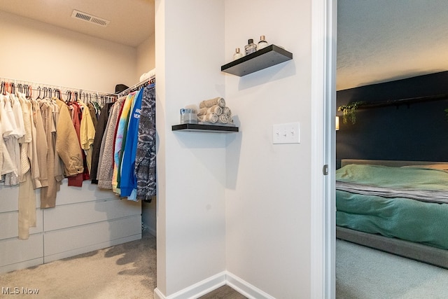 spacious closet featuring carpet flooring