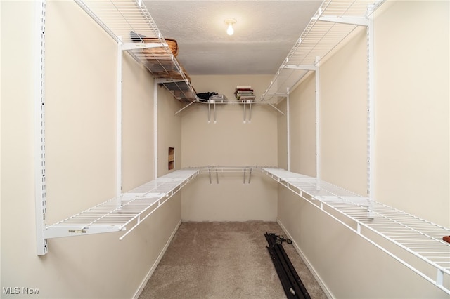 spacious closet with light colored carpet