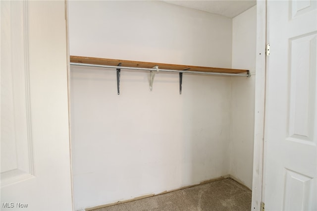 view of closet