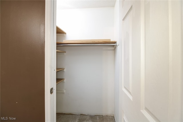 spacious closet featuring carpet