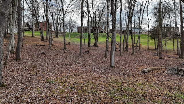 view of yard featuring a wooden deck