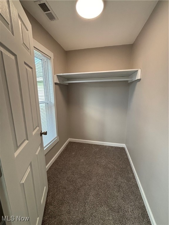 walk in closet with dark colored carpet