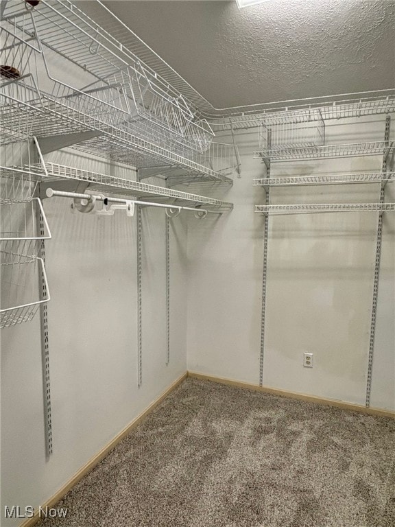 spacious closet with carpet floors