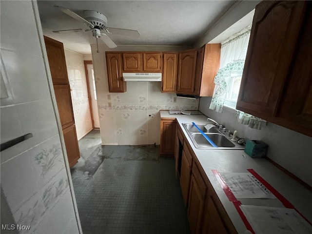 kitchen with ceiling fan and sink