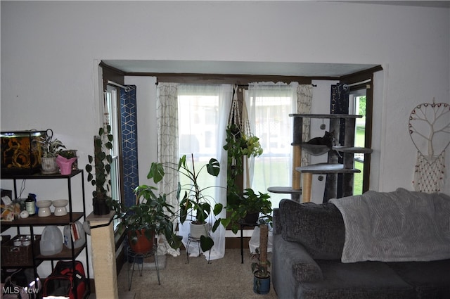 carpeted living room featuring a wealth of natural light