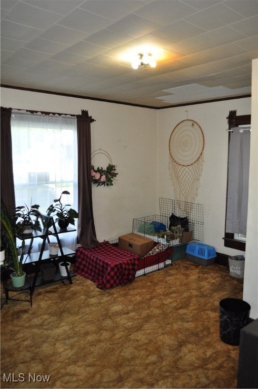 bedroom featuring carpet floors