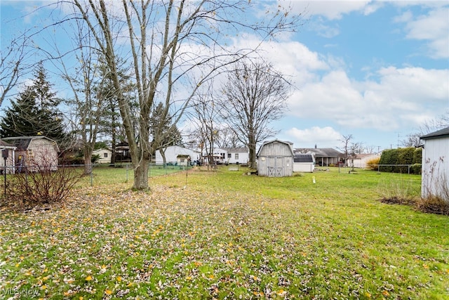 view of yard featuring a shed