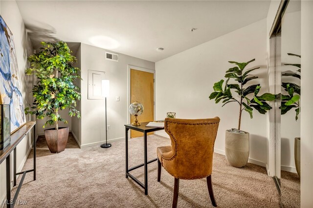 home office with light colored carpet