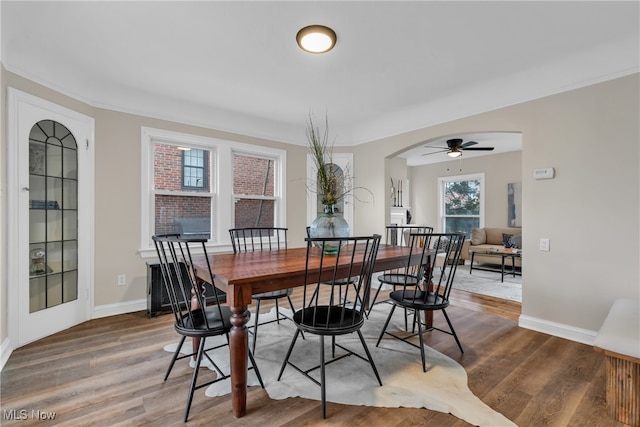 dining space with ceiling fan, ornamental molding, and hardwood / wood-style flooring