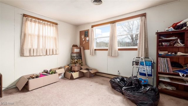 miscellaneous room with carpet