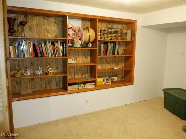 room details with carpet flooring