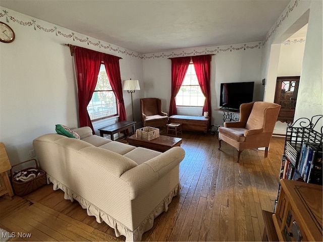 living room with dark hardwood / wood-style flooring