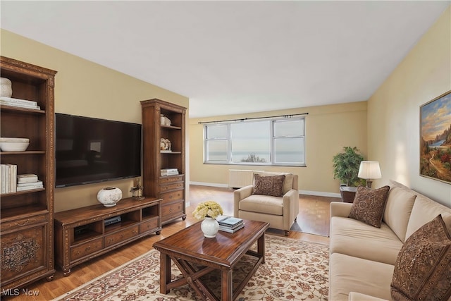 living room featuring light hardwood / wood-style flooring