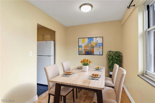 dining room with light hardwood / wood-style floors