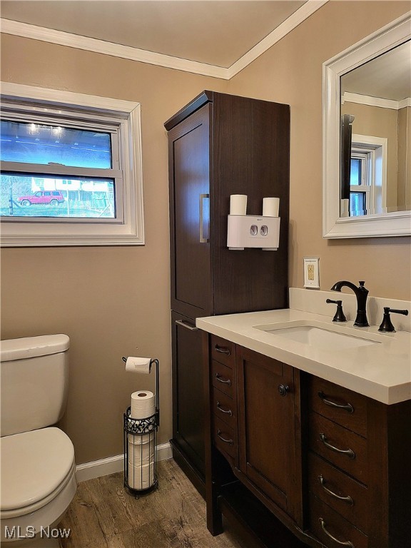 bathroom with vanity, hardwood / wood-style flooring, toilet, and crown molding