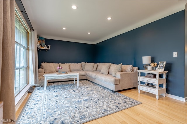 living room featuring wood-type flooring