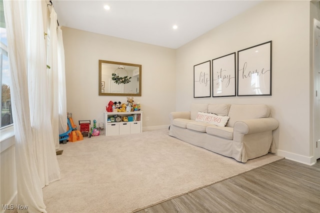 living room with hardwood / wood-style flooring