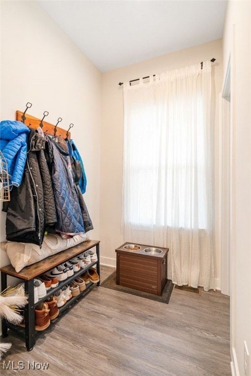 mudroom featuring wood-type flooring